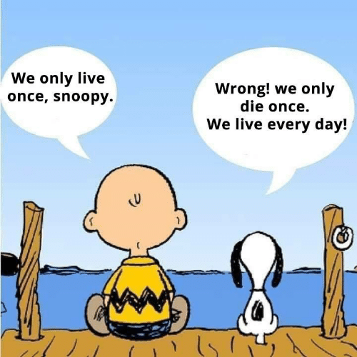 we-only-live-once-snoopy-wrong-we-only-die-once-43819656